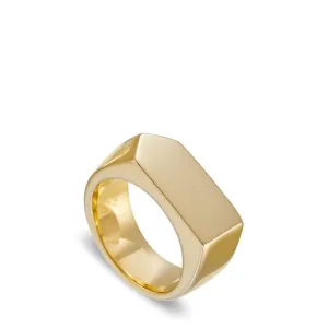Locality Arrow Head Signet Ring Shiny Gold