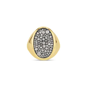 Oval Galaxy Signet Ring (Black)